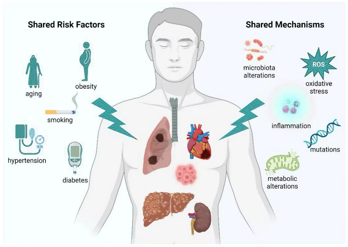 Shared risk factors and shared mechanisms of chronic diseases