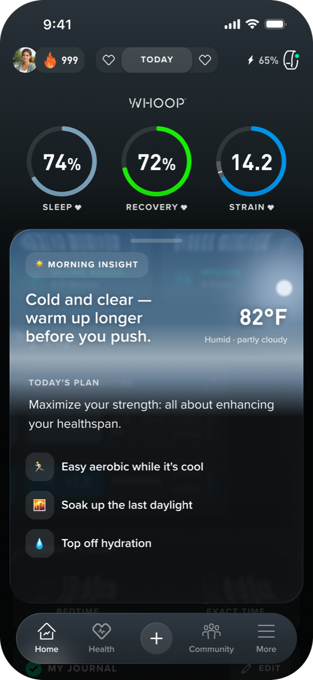 Cold morning insight — 'warm up longer before you push', with today's plan of easy aerobic, daylight, and hydration